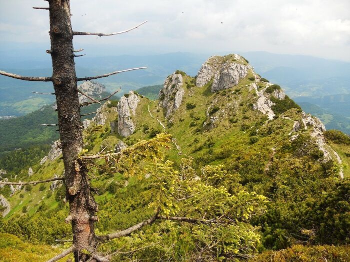 15.6.2013 Mal� Fatra: Rozsutce
